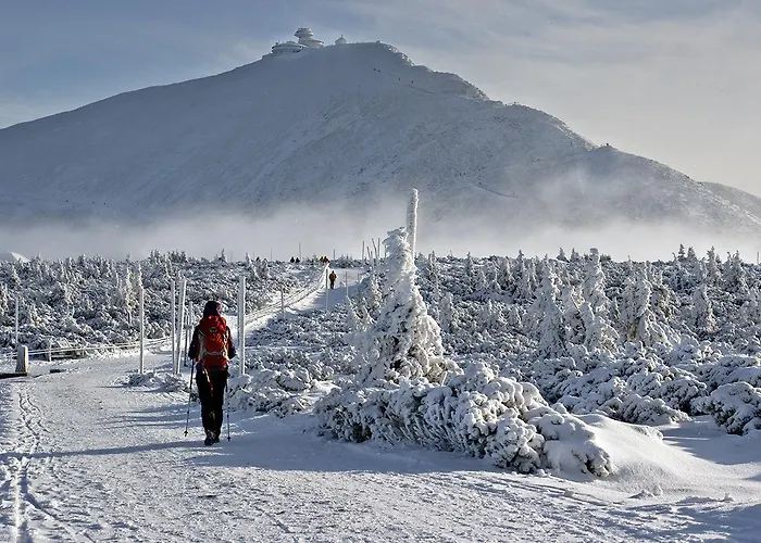 Góralska Osada - Lux Domek alpejski