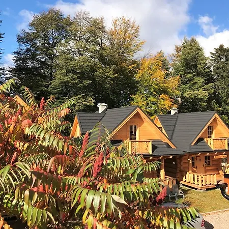 Goralska Osada - Lux 木屋